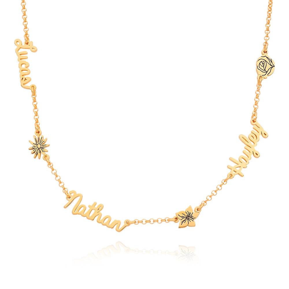 Collar con Nombres Múltiples de Flor de Nacimiento en Vermeil de Oro-1 foto de producto
