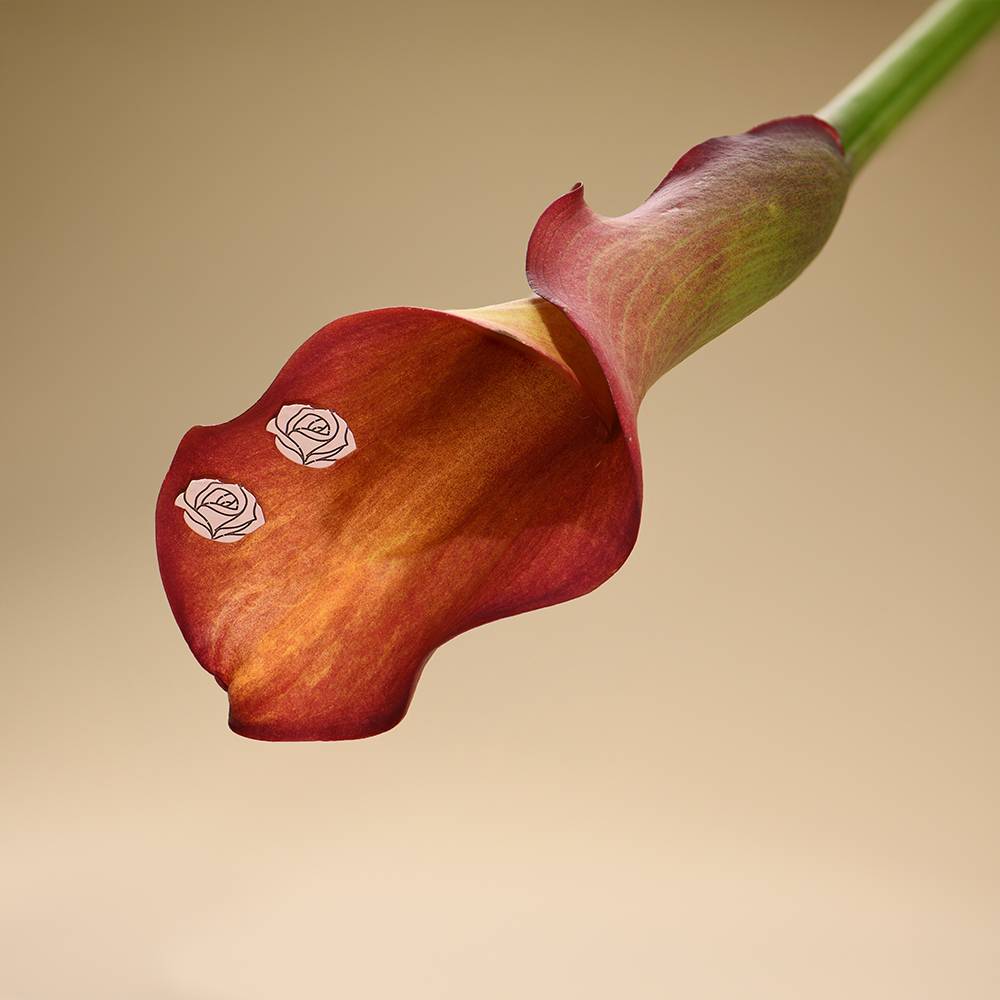 Pendientes de Botón de Flor de Nacimiento en Chapa de Oro Rosa-1 Pendientes de Botón de Flor de Nacimiento en Chapa de Oro Rosa-1 foto de producto