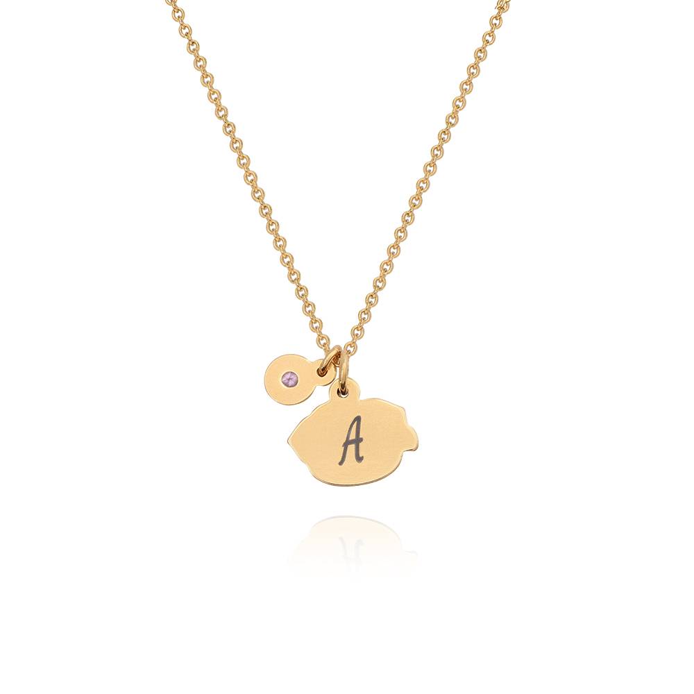 Collar Fiorina de Flor de Nacimiento y Piedra con Inicial en Chapa de Oro-7 Collar Fiorina de Flor de Nacimiento y Piedra con Inicial en Chapa de Oro-7 foto de producto