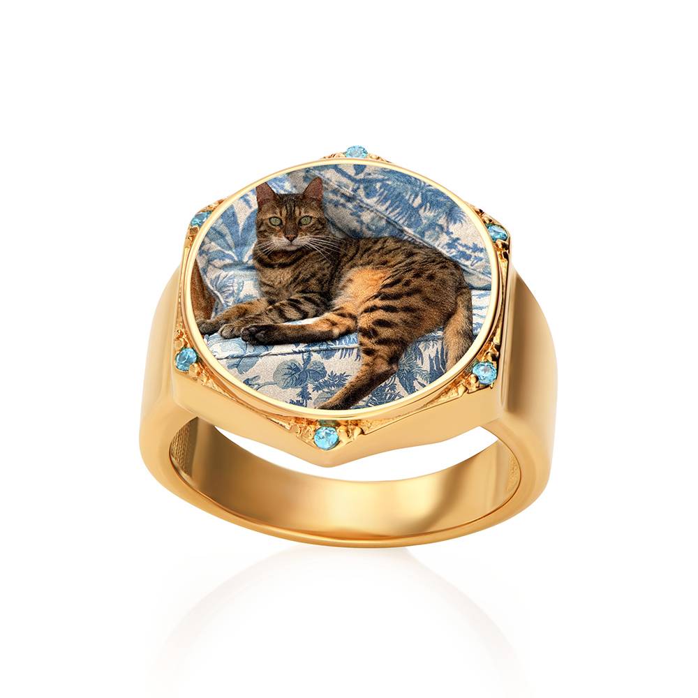Anillo Hexagonal Coco con Foto en Chapa de Oro-1 foto de producto