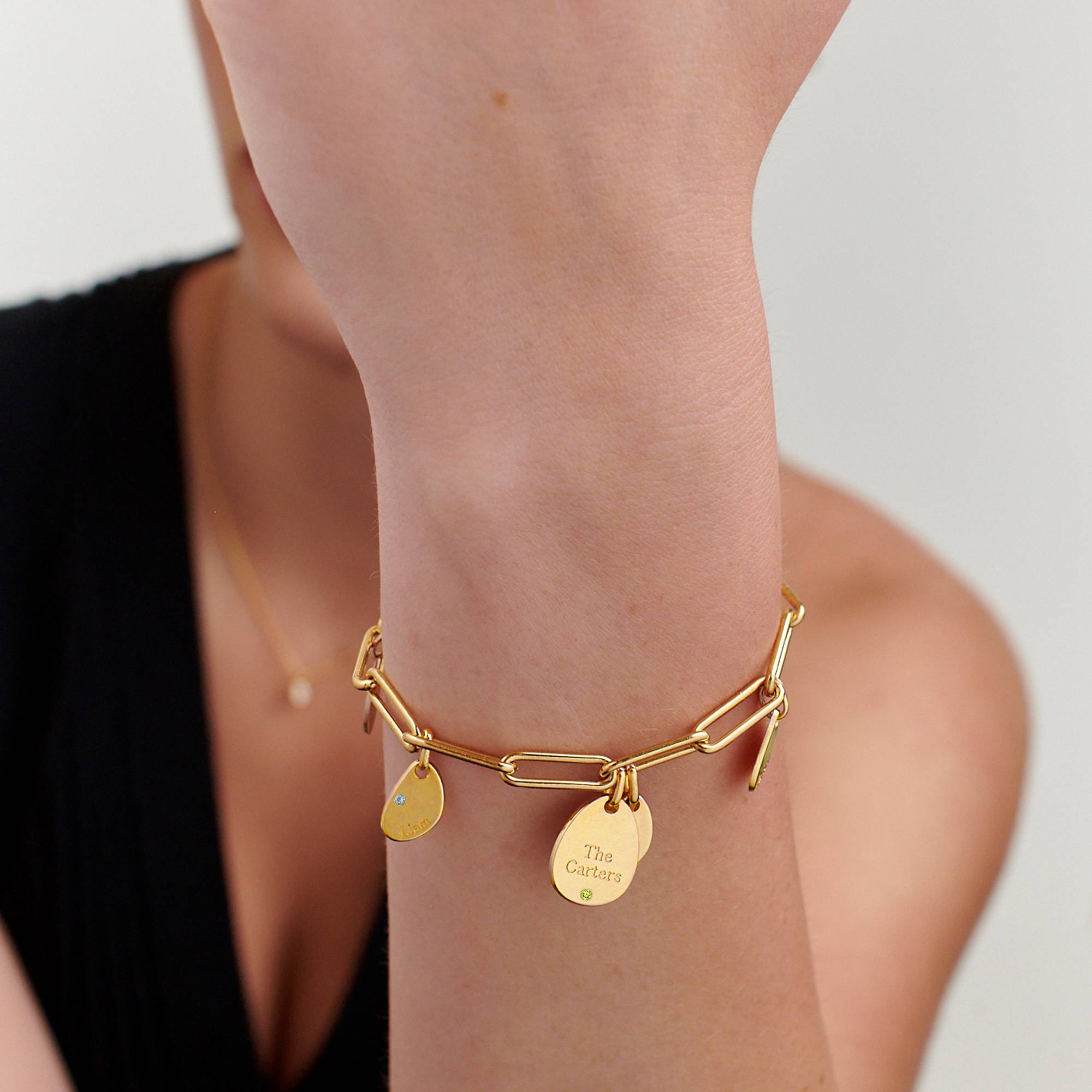 Pulsera de Eslabones Hazel con Dijes Personalizados con Piedras de Nacimiento en Baño de Oro-3 Pulsera de Eslabones Hazel con Dijes Personalizados con Piedras de Nacimiento en Baño de Oro-3 foto de producto